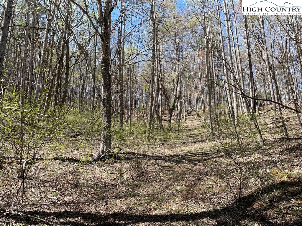 TBD South Laurel Fork Road