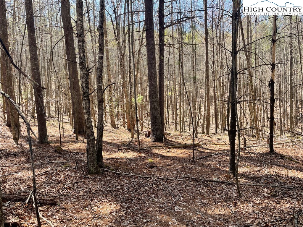 TBD South Laurel Fork Road