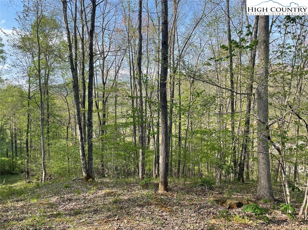 151 Arthur Caudill Road