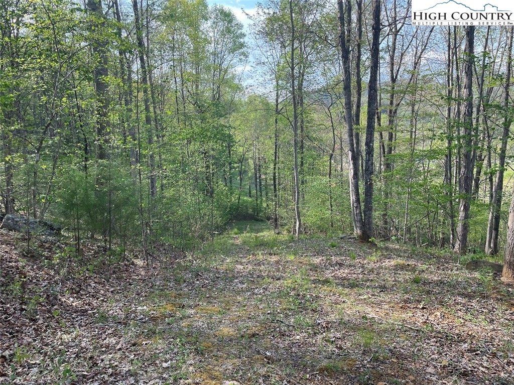 151 Arthur Caudill Road