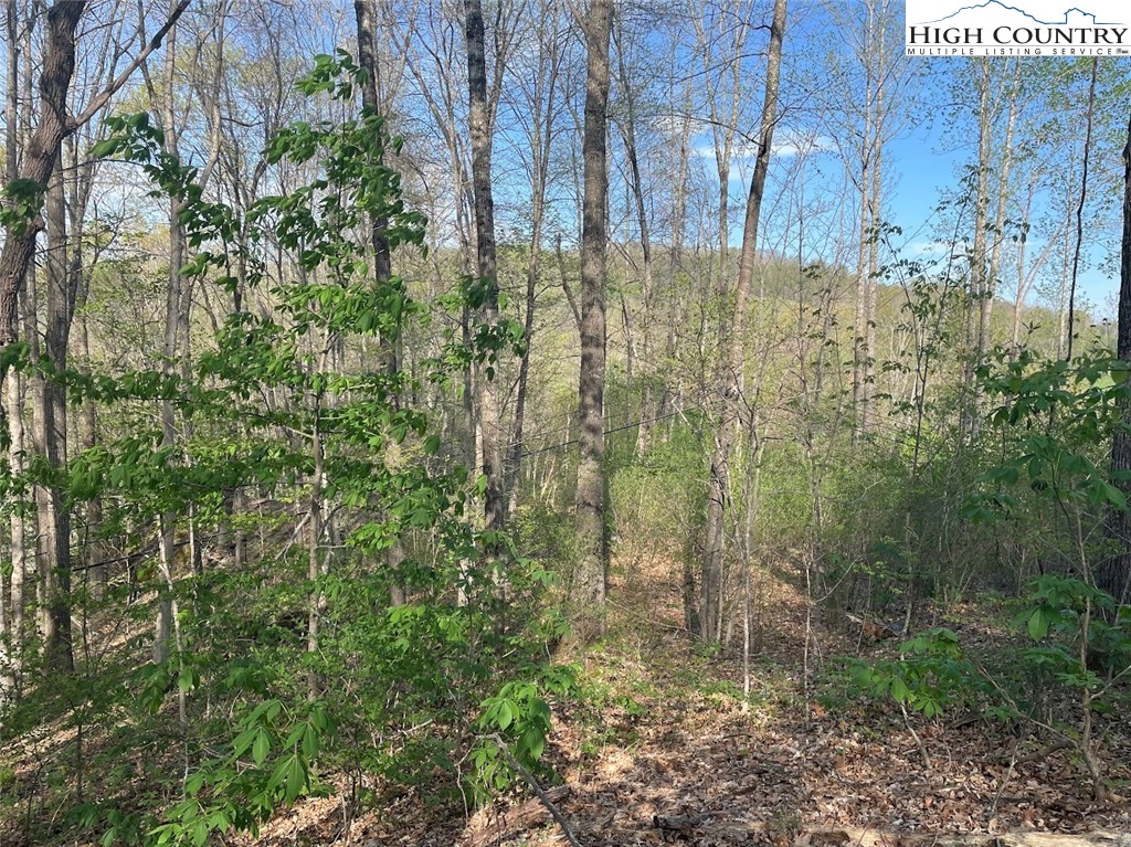 151 Arthur Caudill Road