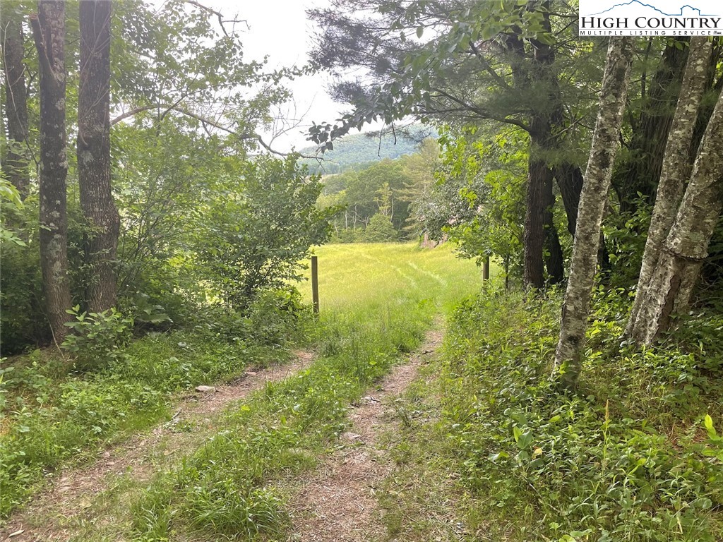 TBD Little Peak Creek & Ore Knob Manor Road