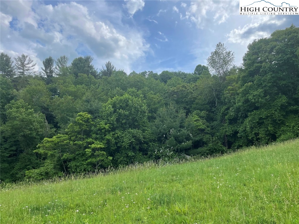 TBD Little Peak Creek & Ore Knob Manor Road