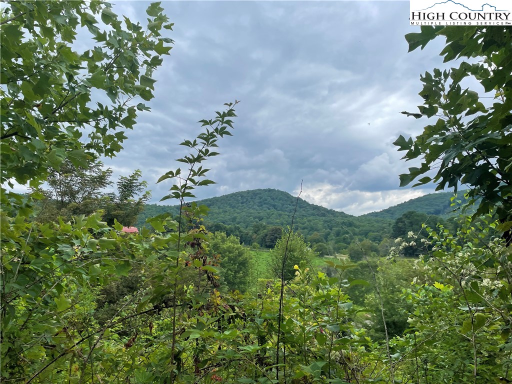 309 Laurel Knob Road