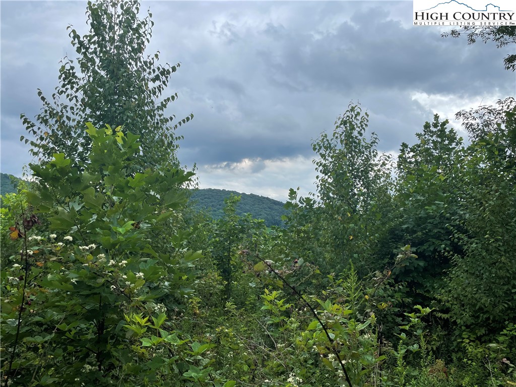 309 Laurel Knob Road