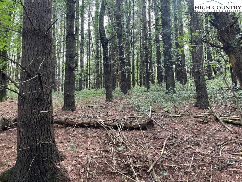 1216 S Jefferson Avenue