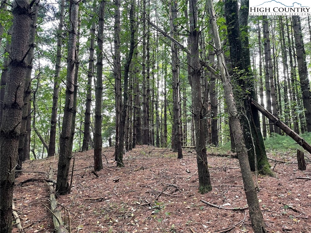 1216 S Jefferson Avenue