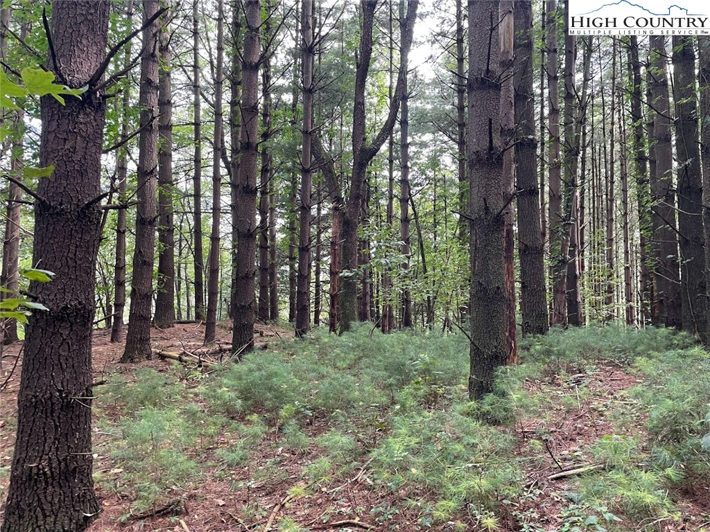 1216 S Jefferson Avenue