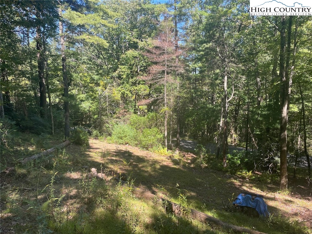 4471 Mountain View Road