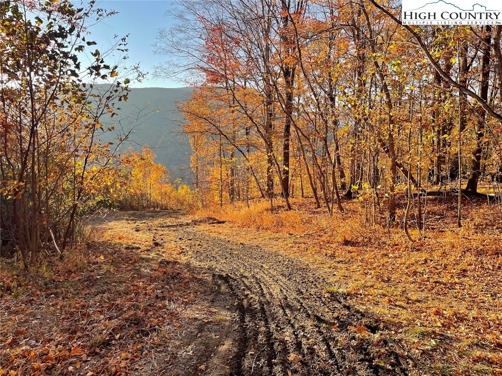 TBD 6.7 Doe Ridge Drive