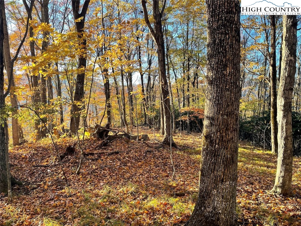 TBD 6.7 Doe Ridge Drive