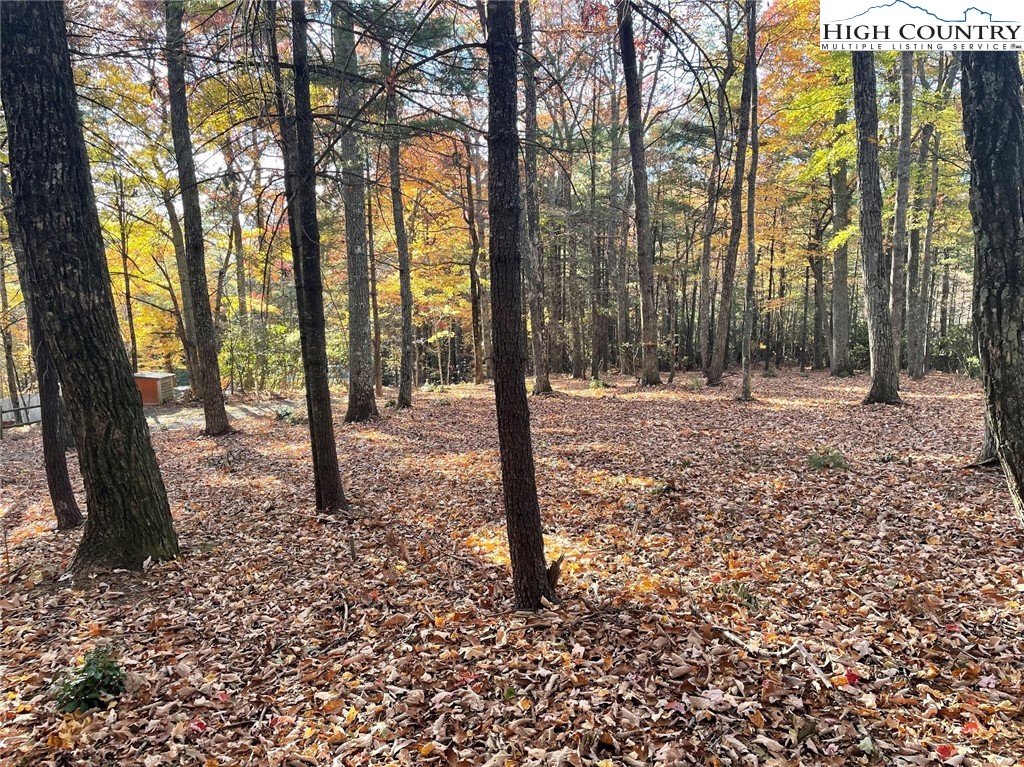 TBD Lower Nettle Knob Road