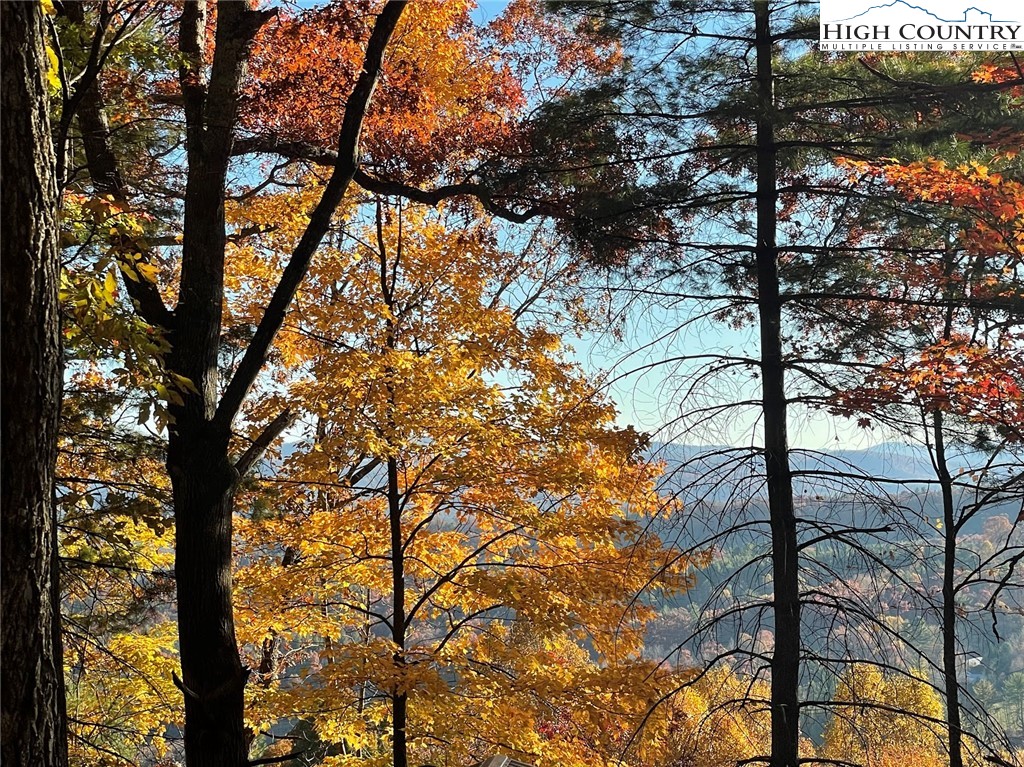 TBD Lower Nettle Knob Road