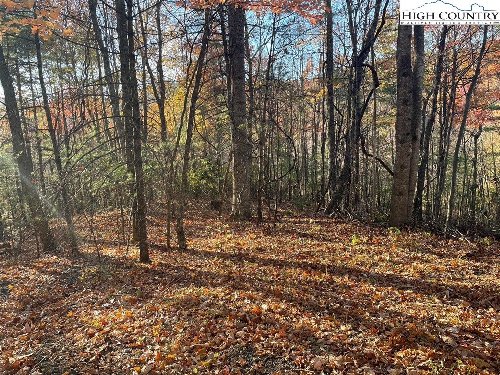 TBD Lower Nettle Knob Road