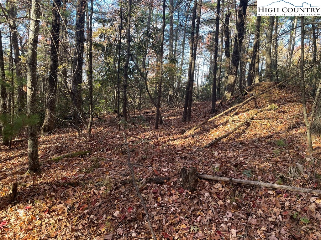 TBD Lower Nettle Knob Road