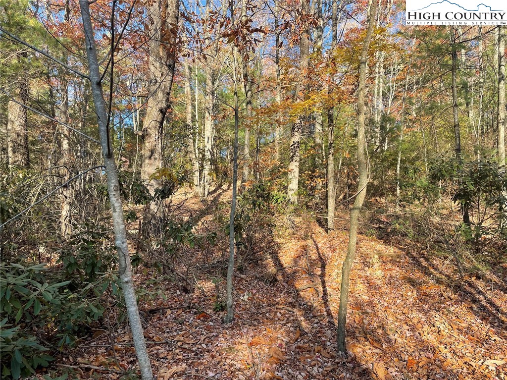 TBD Lower Nettle Knob Road