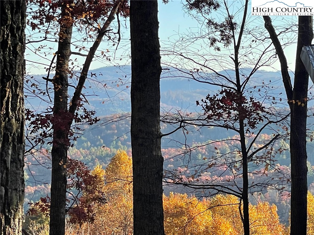 TBD Lower Nettle Knob Road