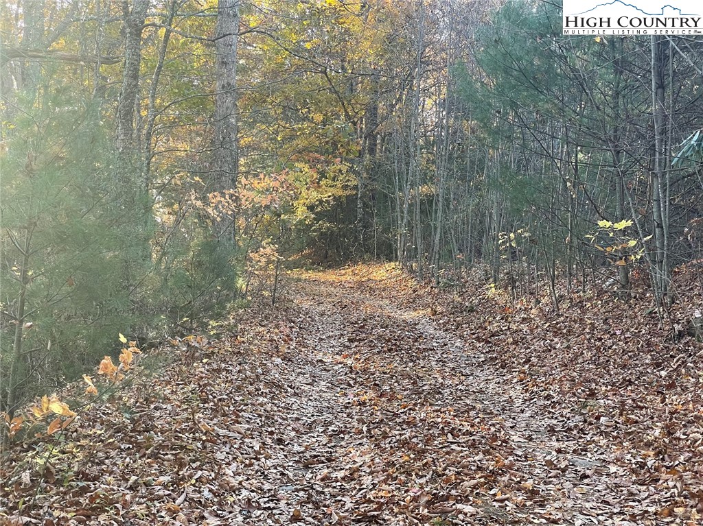 TBD Lower Nettle Knob Road