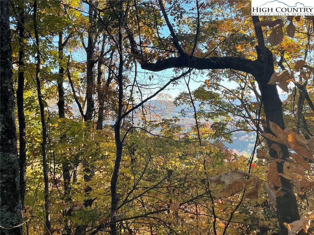 TBD Lower Nettle Knob Road