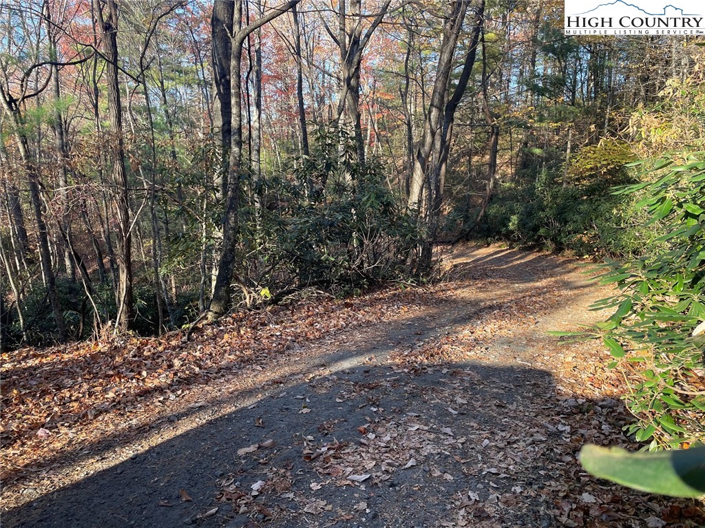 TBD Lower Nettle Knob Road