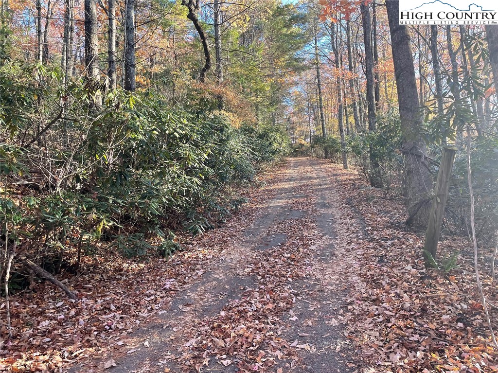 TBD Lower Nettle Knob Road