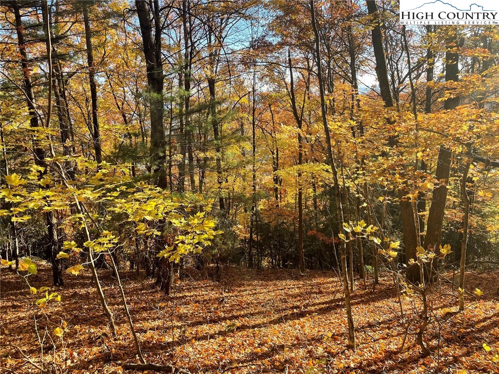 TBD Lower Nettle Knob Road