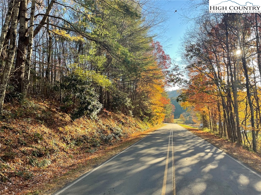 TBD Lower Nettle Knob Road