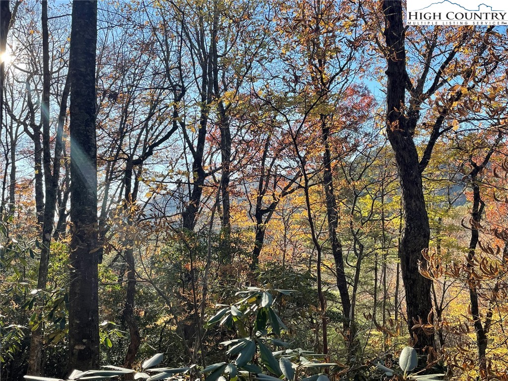 TBD Lower Nettle Knob Road