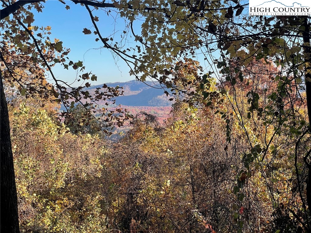 TBD Lower Nettle Knob Road