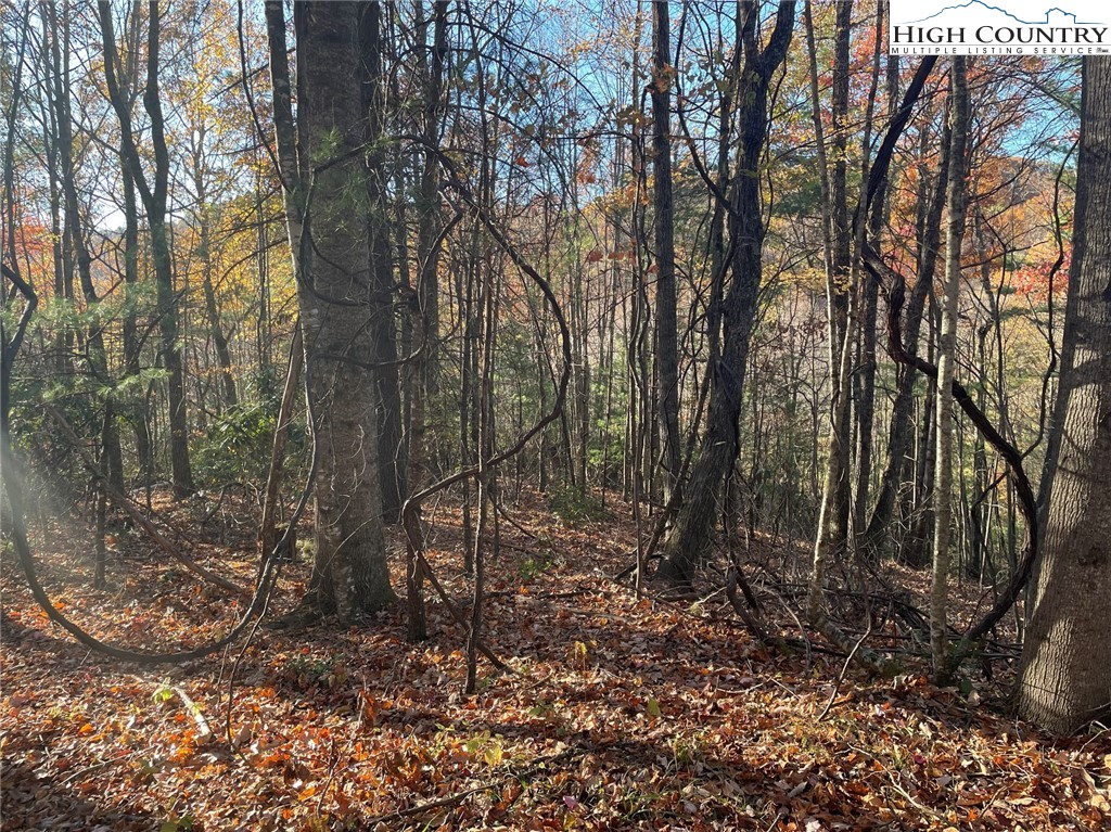 TBD Lower Nettle Knob Road