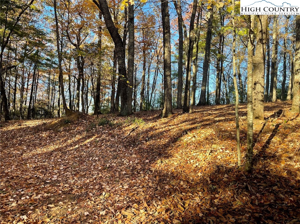 TBD Lower Nettle Knob Road