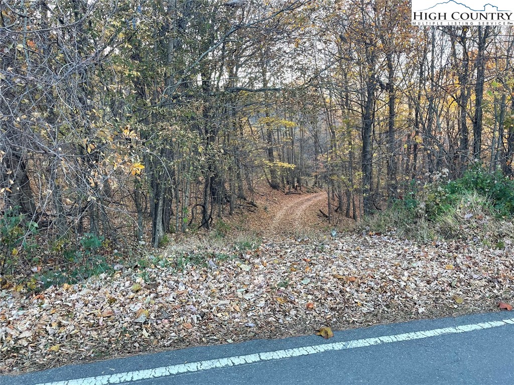 TBD Lower Nettle Knob Road