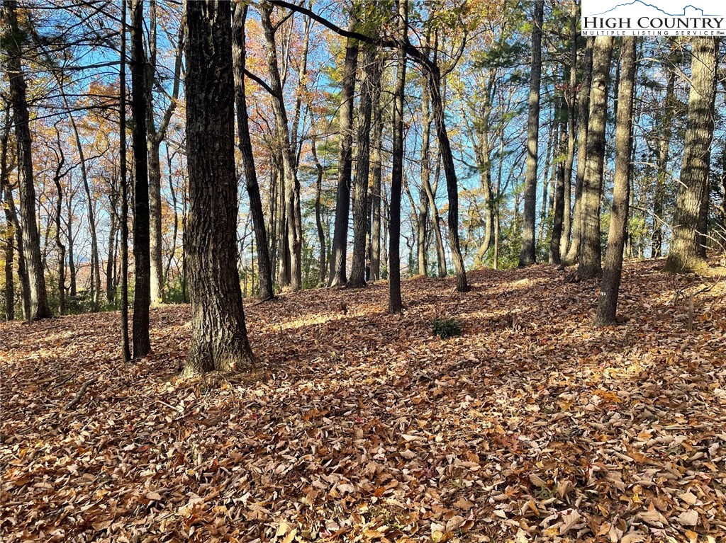 TBD Lower Nettle Knob Road