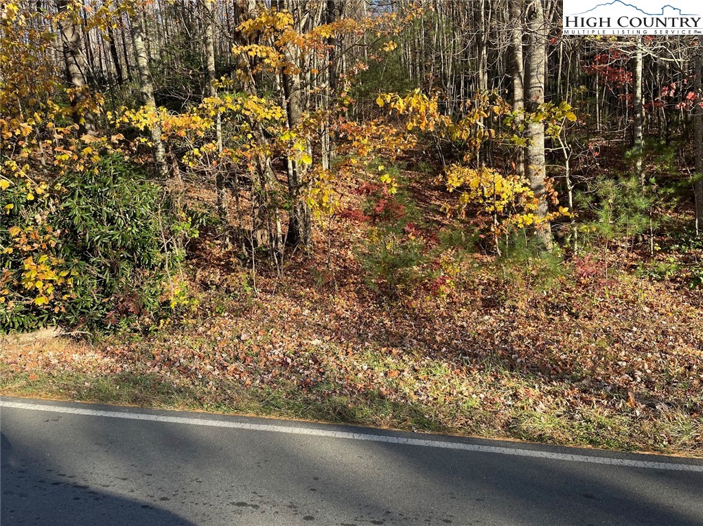 TBD Lower Nettle Knob Road