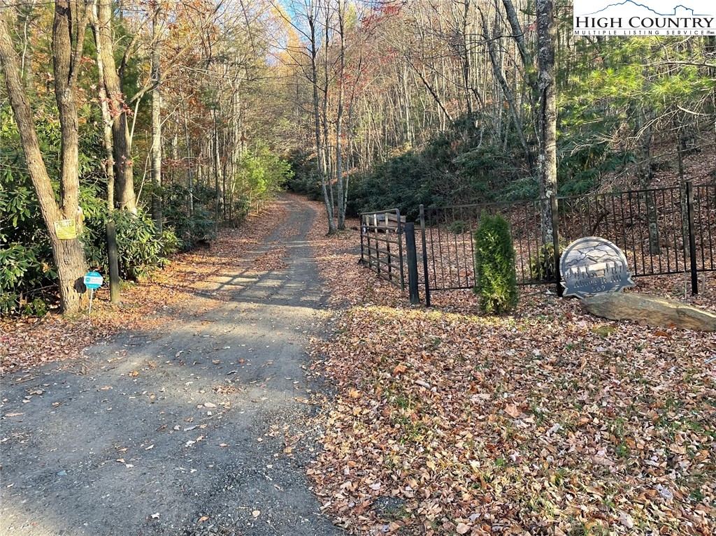 TBD Lower Nettle Knob Road