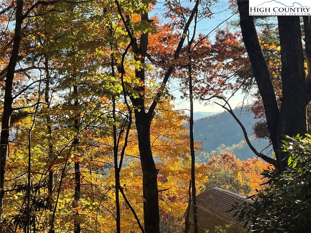 TBD Lower Nettle Knob Road