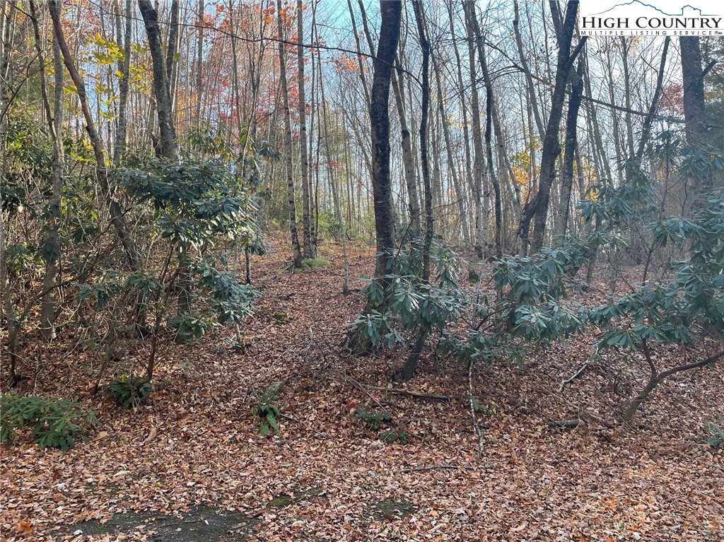 TBD Lower Nettle Knob Road