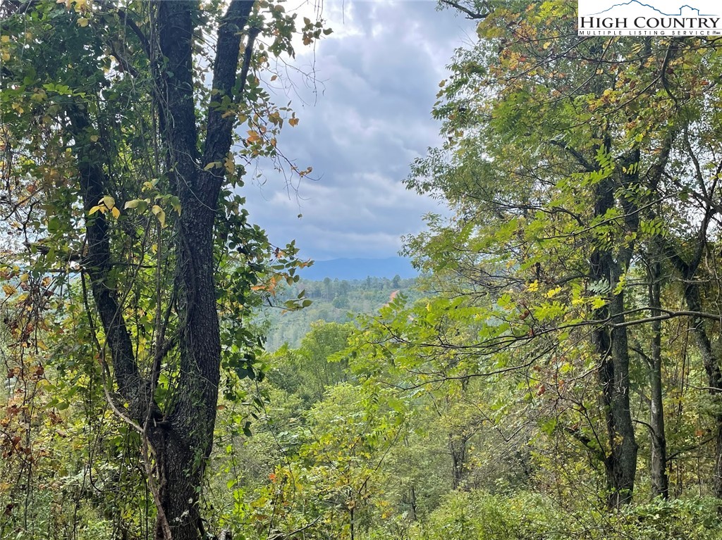 TBD Big Helton Creek Road