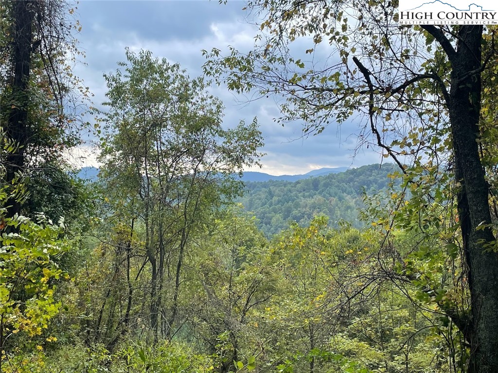 TBD Big Helton Creek Road