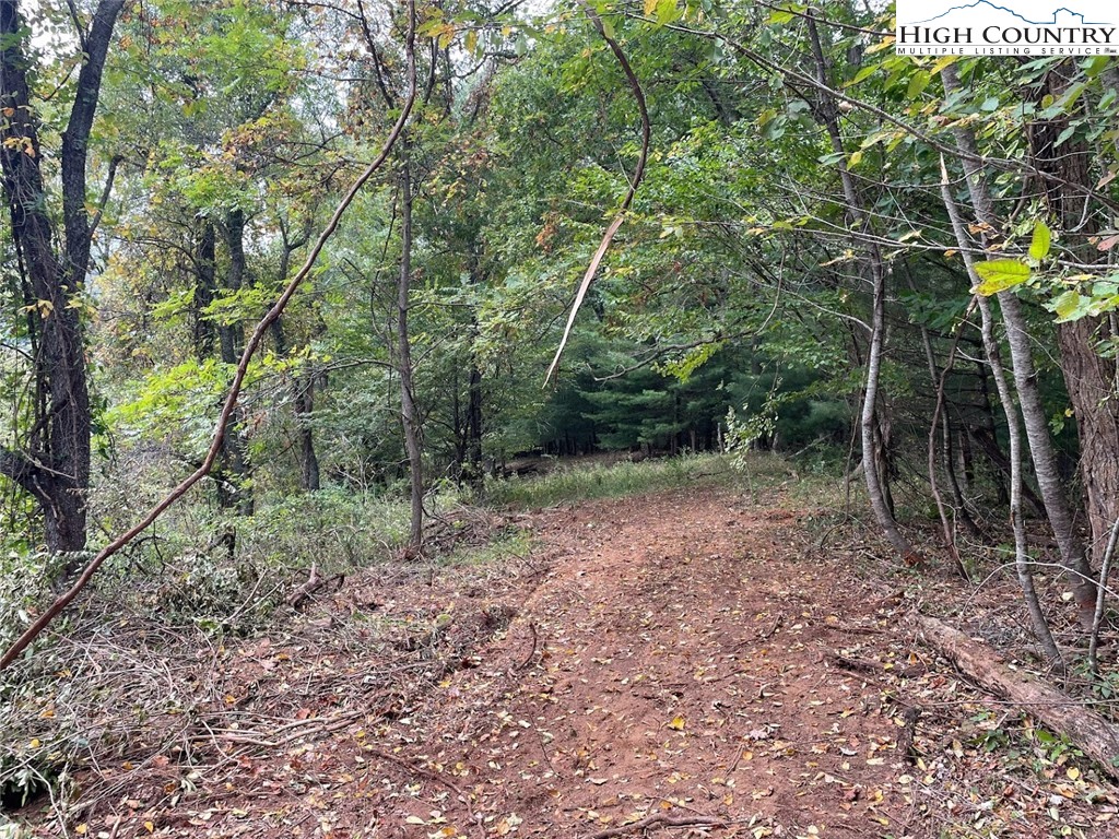 TBD Big Helton Creek Road