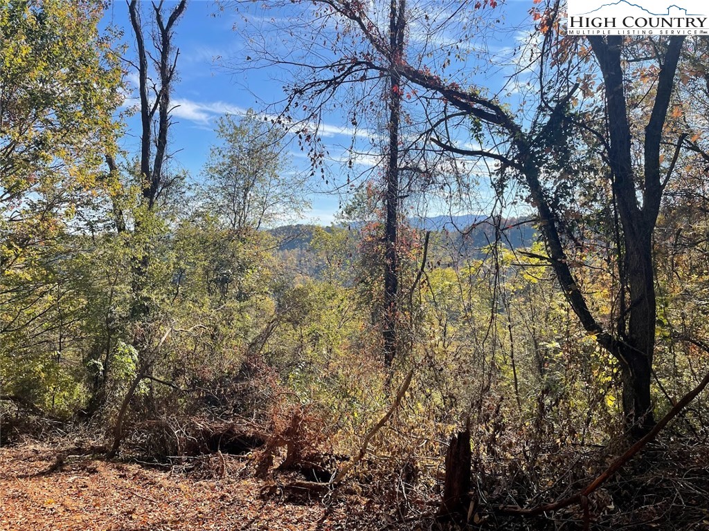 TBD Big Helton Creek Road