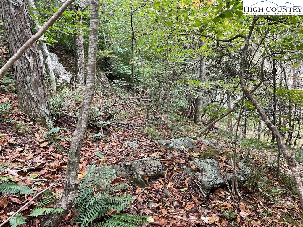 5 Big Helton Creek Road