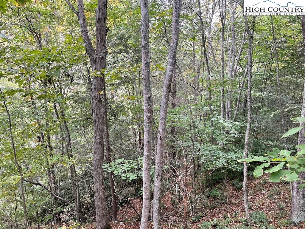 5 Big Helton Creek Road