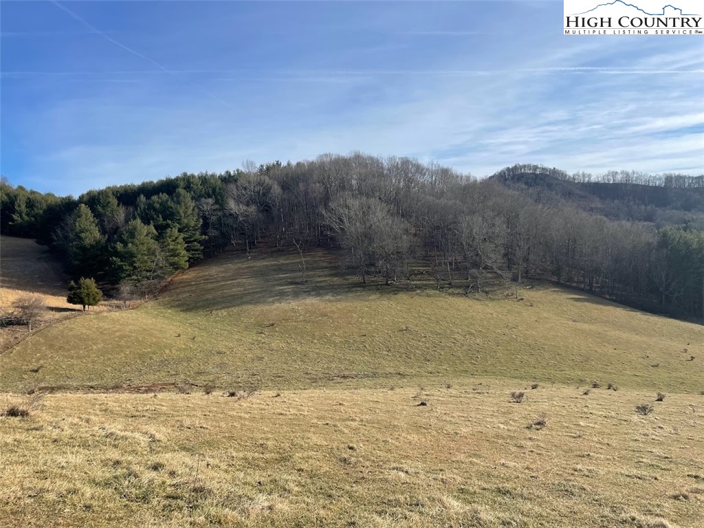 TBD Bill Bledsoe Road