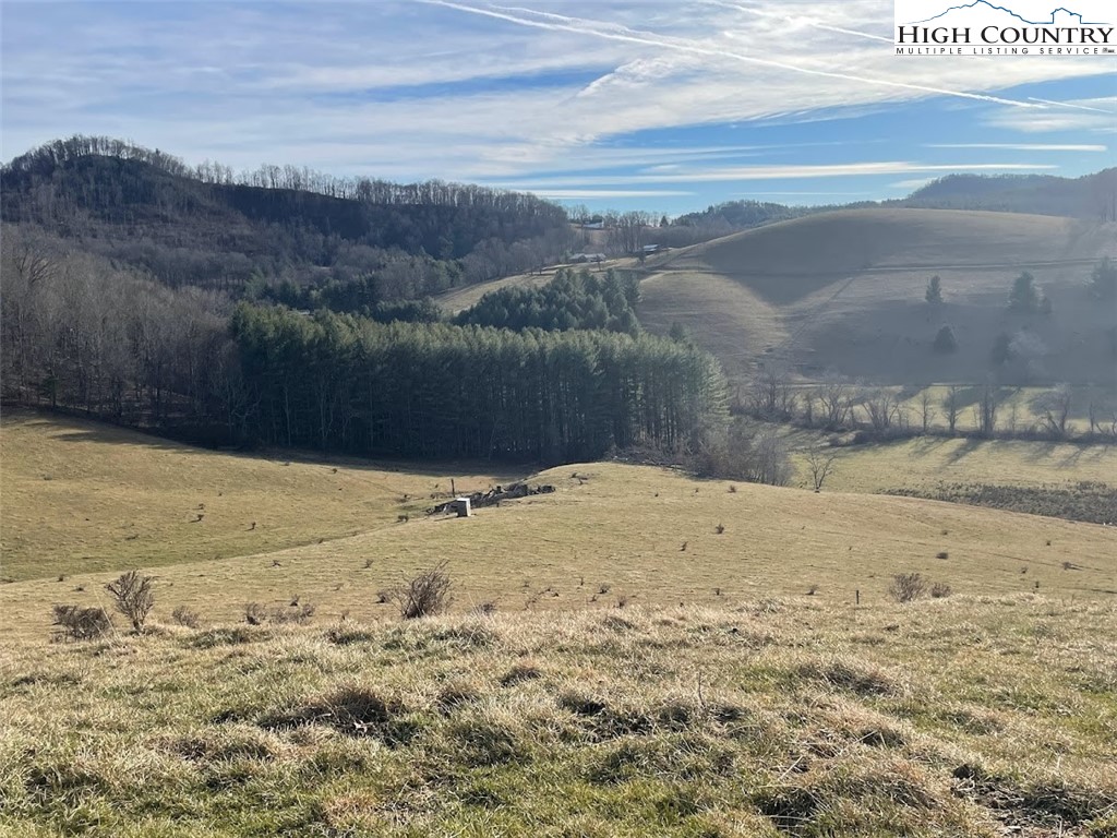 TBD Bill Bledsoe Road