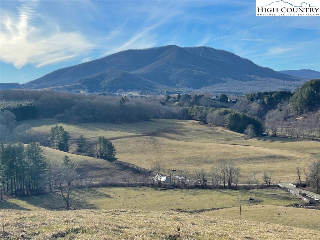 TBD Bill Bledsoe Road