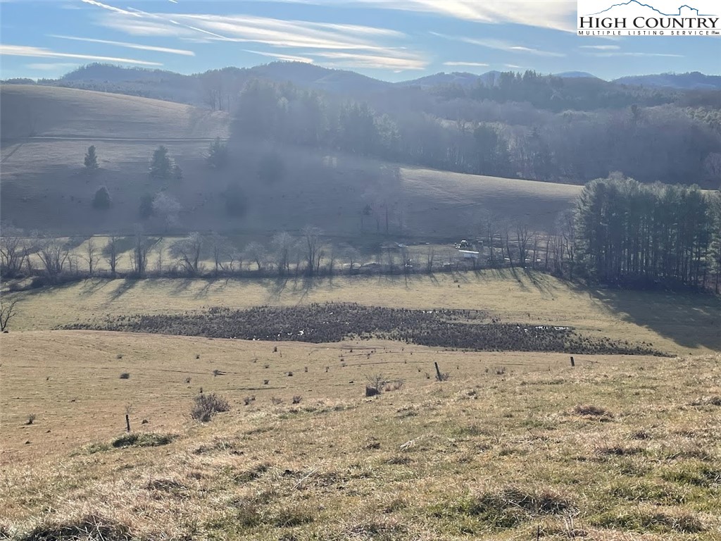 TBD Bill Bledsoe Road