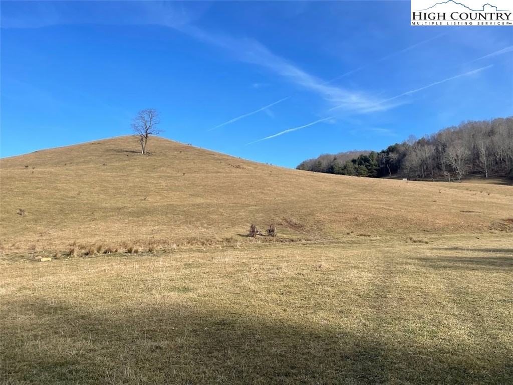 TBD Bill Bledsoe Road