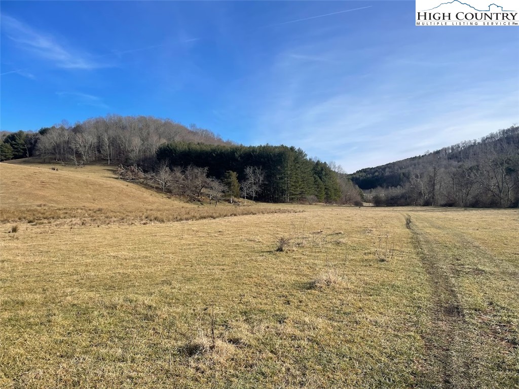 TBD Bill Bledsoe Road