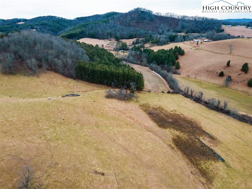 TBD Bill Bledsoe Road